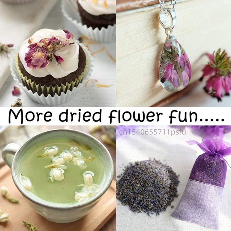 Kuncup Melati Alami Berkualita - Candle Making And Perfume ulasan dan harga